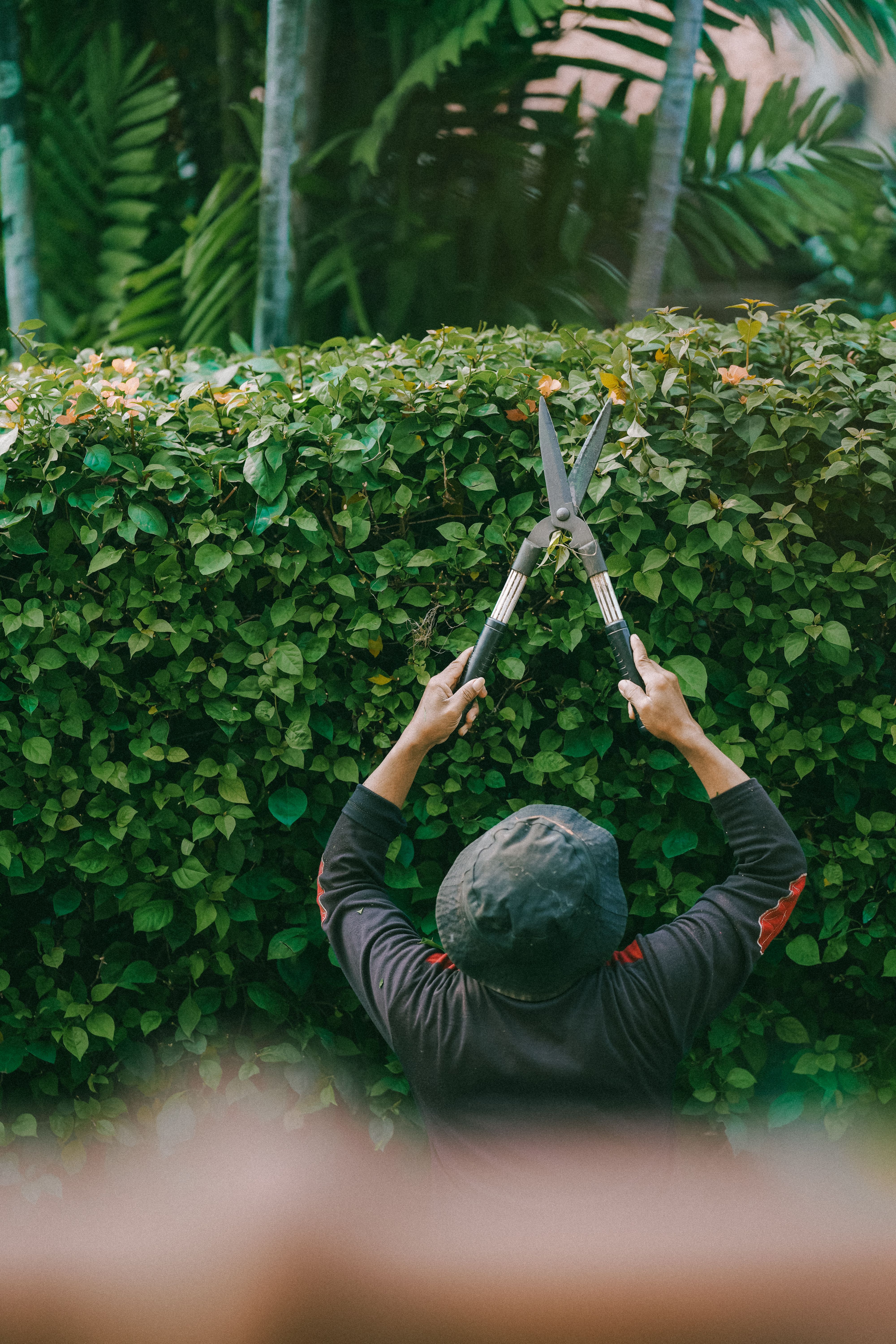 Landscaping